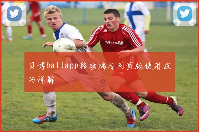 贝博ballapp移动端与网页版使用技巧详解