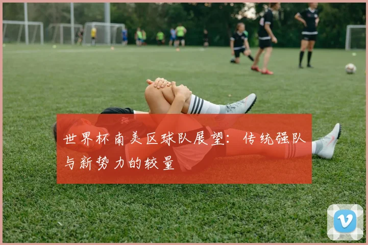 世界杯南美区球队展望：传统强队与新势力的较量